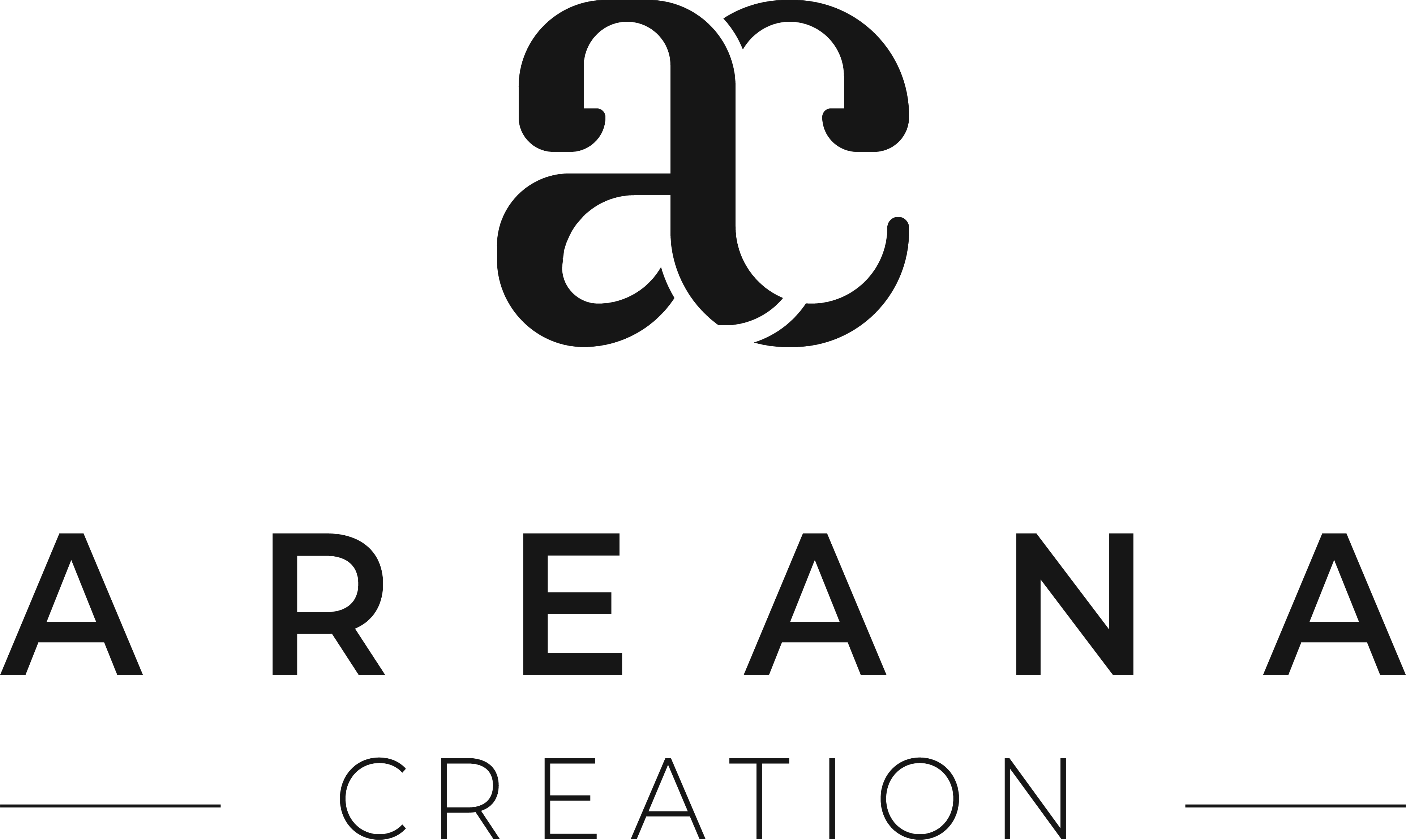 Areana Creation Pte Ltd portfolio