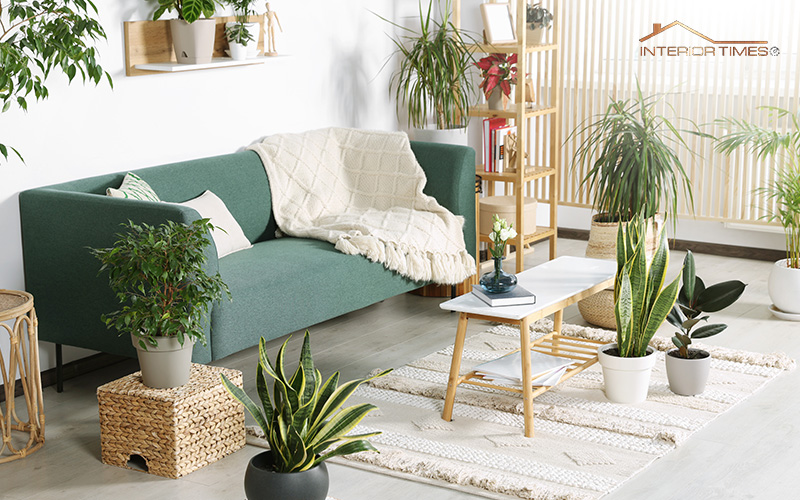 Living room with biophilic design elements
