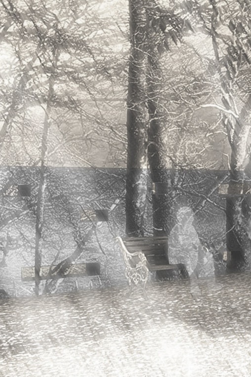 SPORES_Studio portfolio