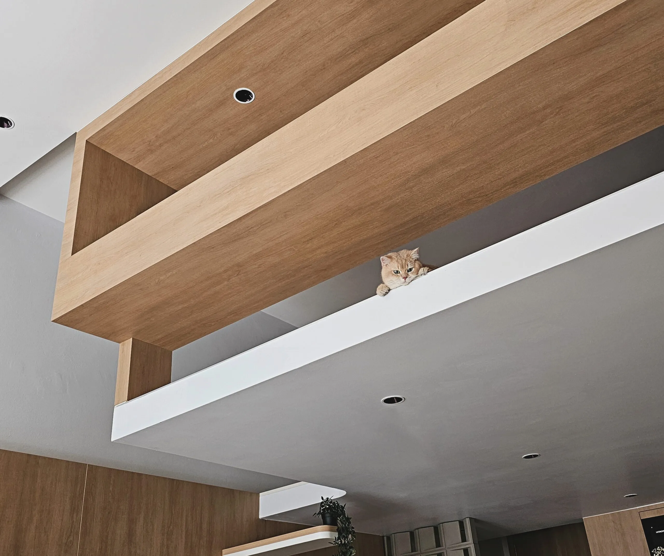 Urban Home Design portfolio