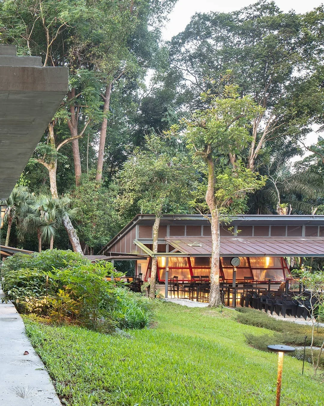 Swiss Club Singapore - Jungle Bar . . . @finbarrfallon . #zarchcollaboratives #addition #architecture #heritage #history #swissclubsingapore #pergolaverandah #integrationofoldandnew